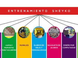 ENTRENAMIENTO SHEYKO