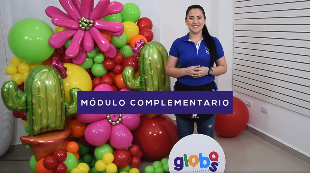 MÓDULO COMPLEMENTARIO