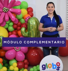 MÓDULO COMPLEMENTARIO