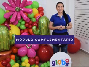 MÓDULO COMPLEMENTARIO