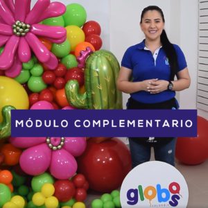 MÓDULO COMPLEMENTARIO